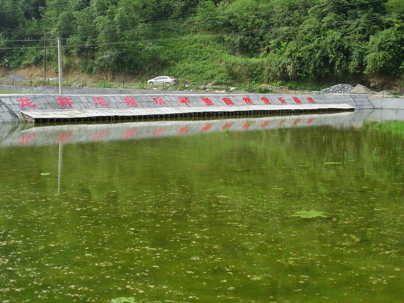 县河镇——六合村甲鱼养殖基地