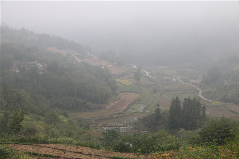 县河镇——晨雾中的柏腊树垭村