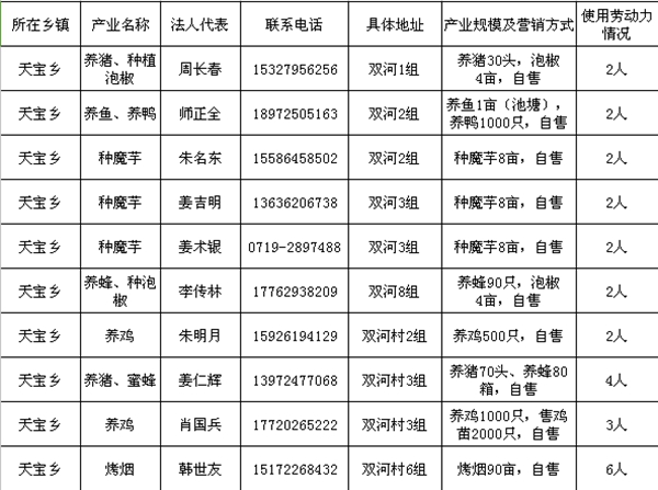 天宝乡双河村众筹项目情况一览表