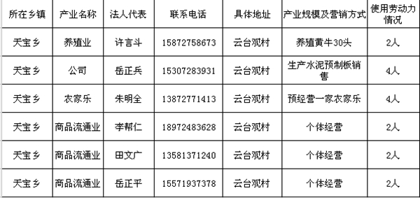 天宝乡云台观村众筹项目情况一览表