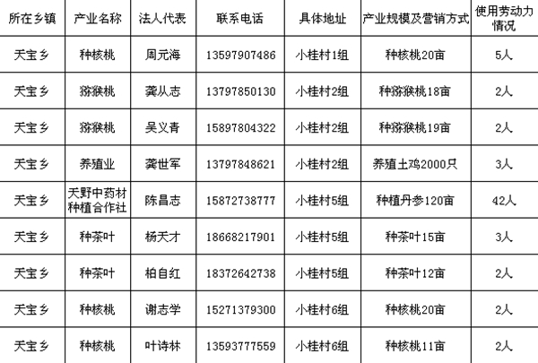 天宝乡小桂村众筹项目情况一览表