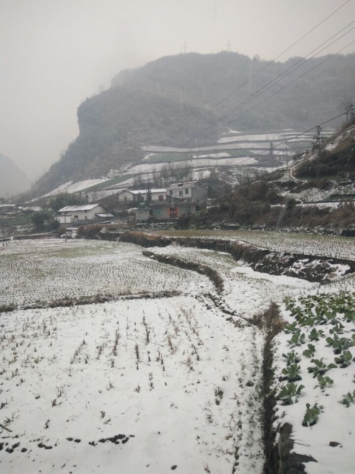 雪中的云台观村
